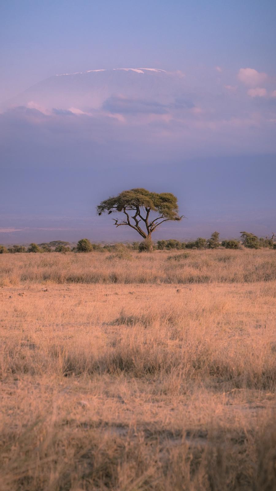 Nairobi National Park